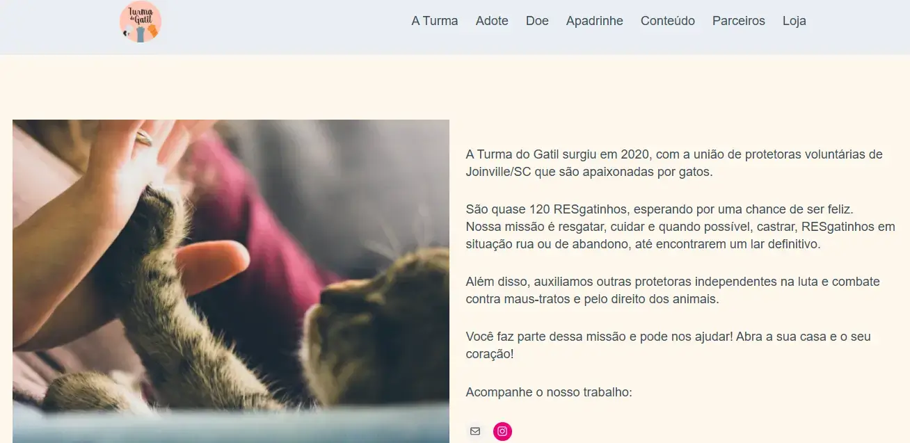 Case da ONG Turma do Gatil